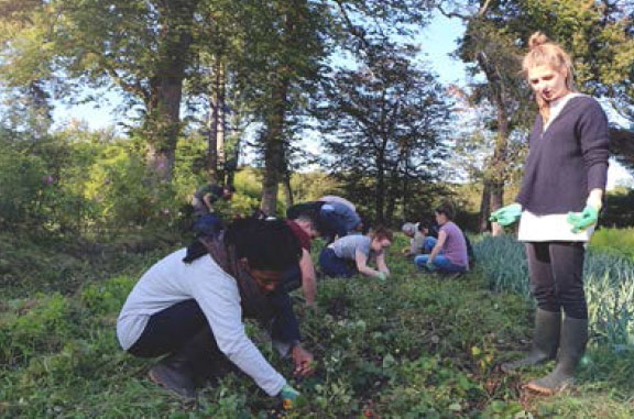 desherbage-domaine-de-toury fondation d'entreprise le Delas Laure Boucomont Directrice fondation Le Delas ENSAD FERRANDI Antoine Boucomont Le Delas Rungis