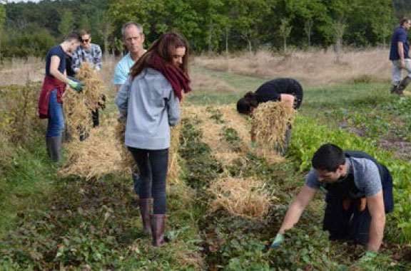 paillage-domaine-de-toury domaine de toury fondation d'entreprise le Delas Laure Boucomont Directrice fondation Le Delas Ferrandi ENSAD